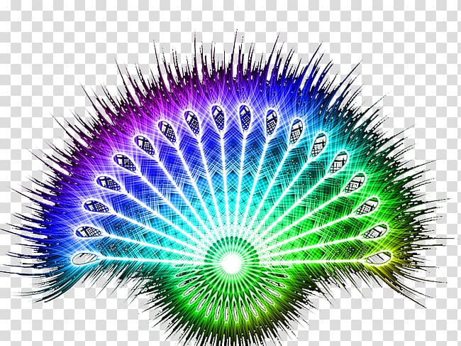 Feather Peafowl Divinity God, Peacock fan transparent background PNG clipart