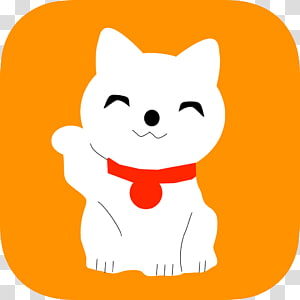 Cat Whiskers Mammal Carnivora Dog, Cat transparent background PNG clipart thumbnail