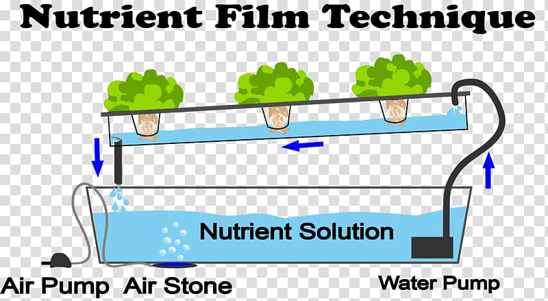 Nutrient film technique Hydroponics Hydroponic Gardening Aquaponics, Hydroponic Grow Box Vegetables transparent background PNG clipart