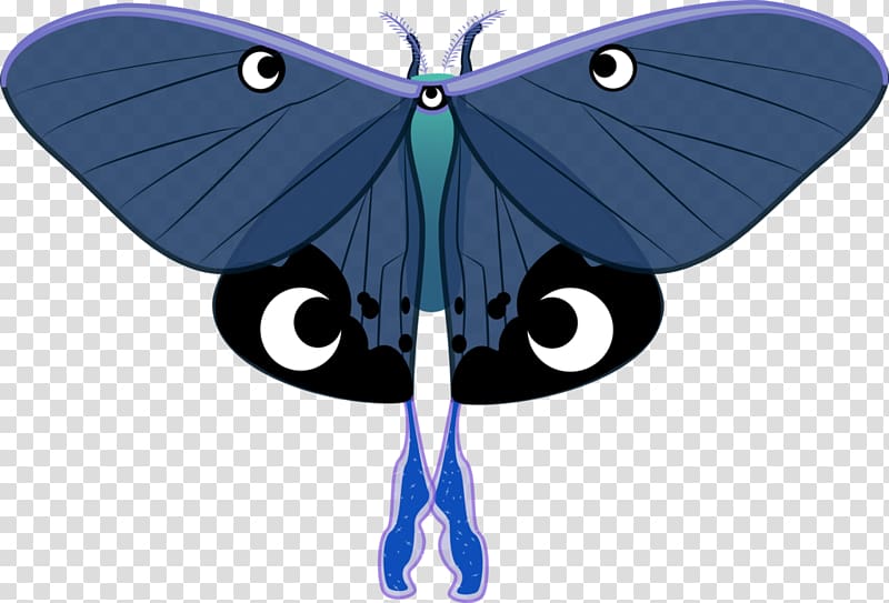 Butterfly Luna Moth Princess Luna Pony, butterfly transparent background PNG clipart