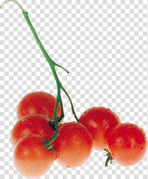 Cherry tomato Vegetable Tomato juice Food, vegetable transparent background PNG clipart