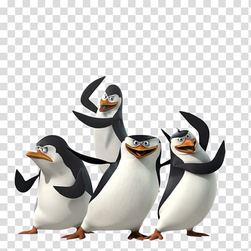 Madagascar penguins transparent background PNG clipart
