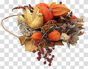 Cut flowers .de, flower transparent background PNG clipart thumbnail