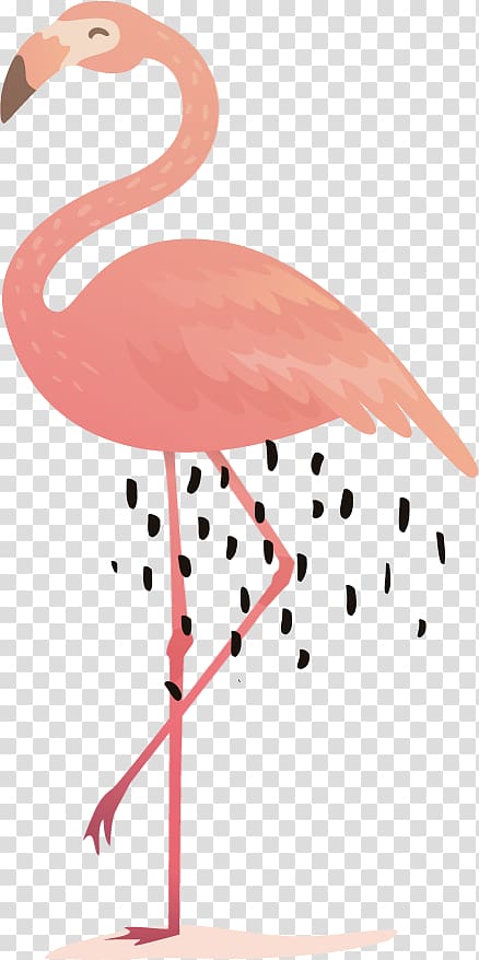 Mysteryland Tomorrowland Music festival Summer Festival Enschede, Summer Flamingo transparent background PNG clipart