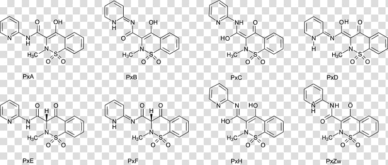 Marine Drugs Pseudopterosin A Animal Manoalide Diterpene, Piroxicam transparent background PNG clipart