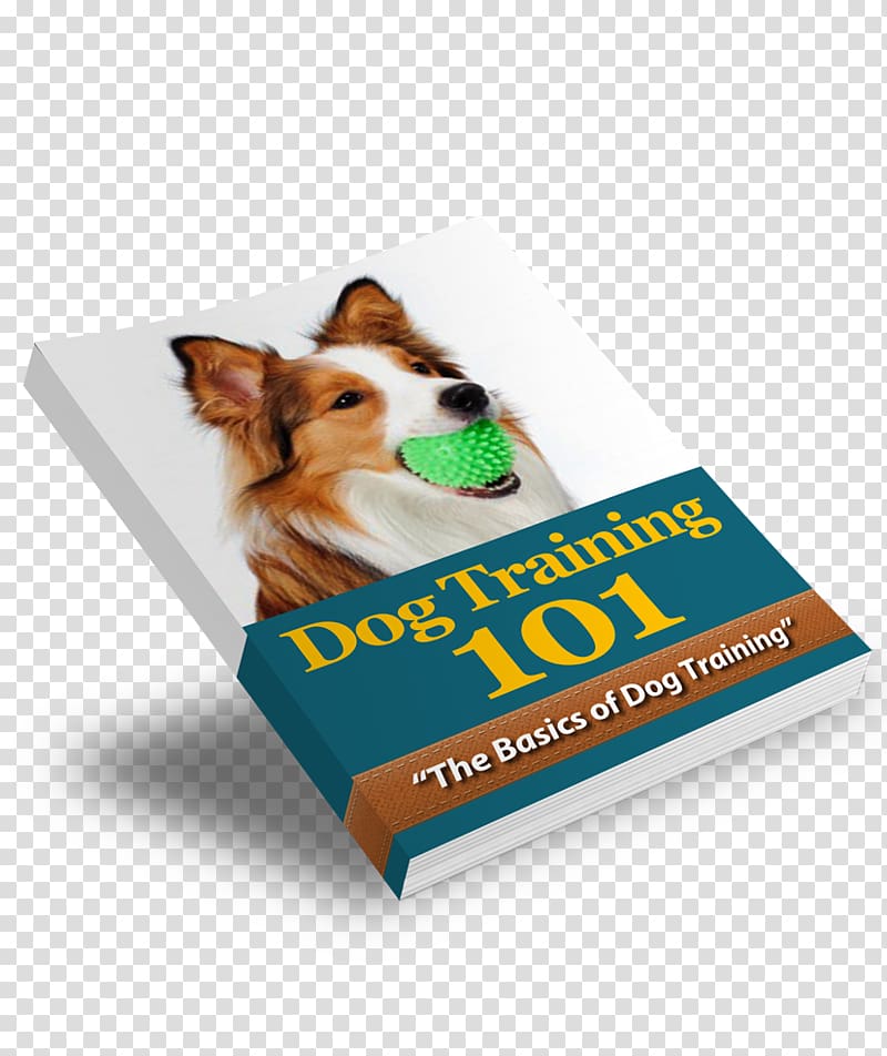 Puppy Dog training Collar Obedience training, Dog Training transparent background PNG clipart