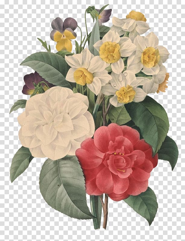 Flowers Choix des plus belles fleurs Illustration Art Printmaking, Flowers transparent background PNG clipart