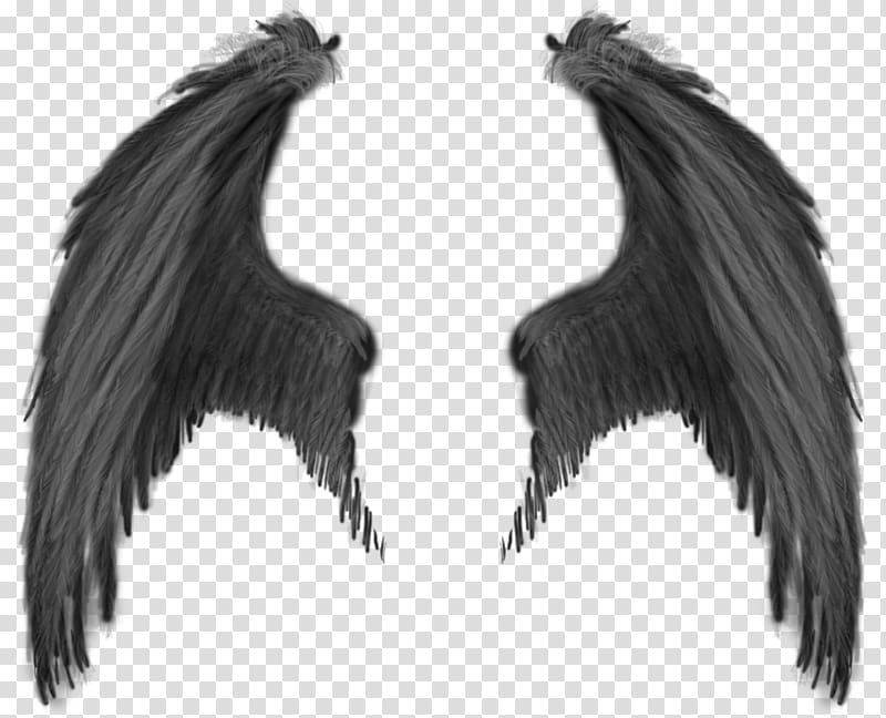 black wings illustration, Demon Angel Devil, wing transparent background PNG clipart