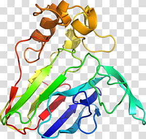 Tree Line , tree transparent background PNG clipart thumbnail