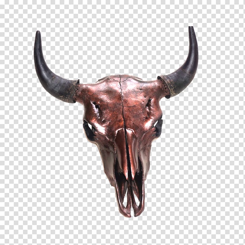 Skull American bison Horn Cattle Hunting, skull transparent background PNG clipart