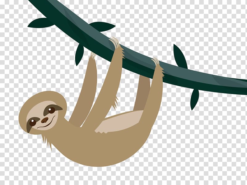 Silicon Valley Sloth Cartoon , sloth transparent background PNG clipart