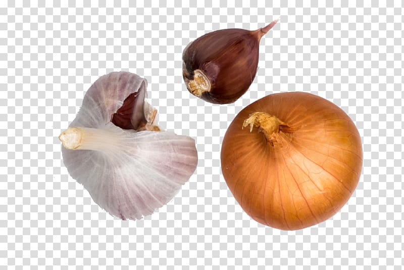 Yellow onion Shallot Organic food Garlic Spice, Garlic onion transparent background PNG clipart