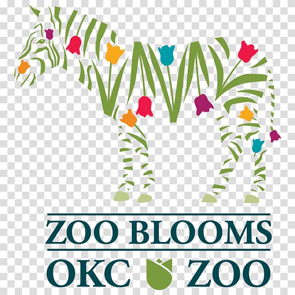 Oklahoma City Zoo Floral design Botanical garden Kalidy, LLC, an ostrich egg transparent background PNG clipart