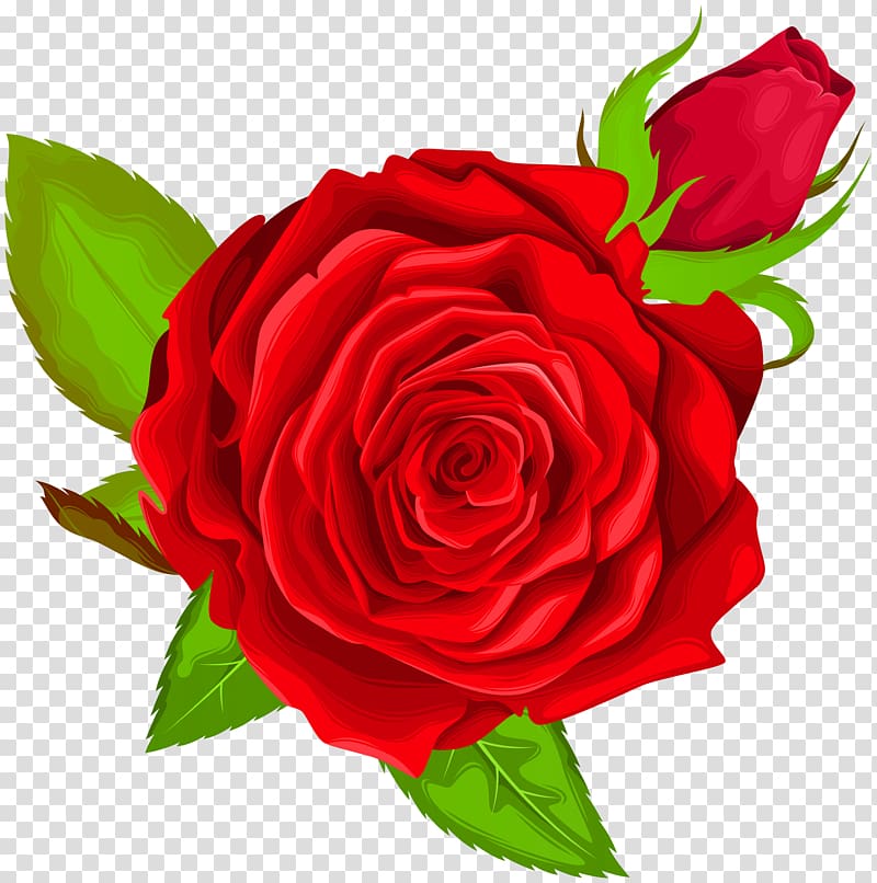red rose illustration, Icon , Red Rose Decorative transparent background PNG clipart
