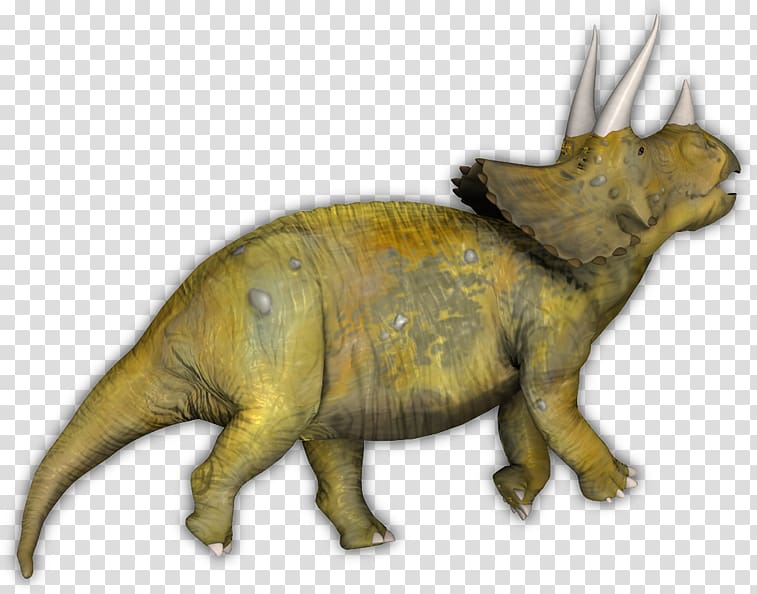 Triceratops Tyrannosaurus Terrestrial animal Extinction, others transparent background PNG clipart