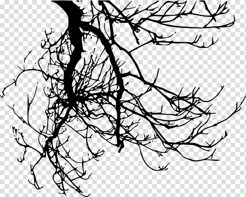 Twig Branch Tree, tree transparent background PNG clipart