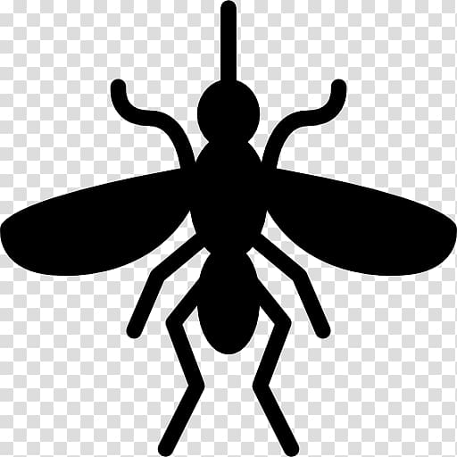 Fly Mosquito Insect Pest Control, fly transparent background PNG clipart