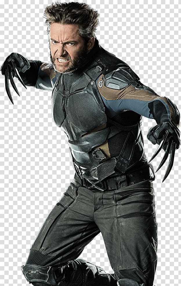 Wolverine illustration, Hugh Jackman Wolverine Professor X X-Men: Days of Future Past Rogue, Wolverine transparent background PNG clipart