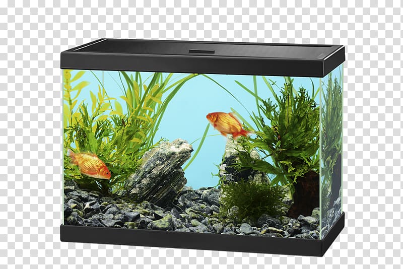 Light-emitting diode Aquariums, Aquarium transparent background PNG clipart