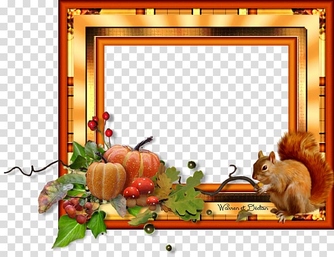 Frames 440s, others transparent background PNG clipart