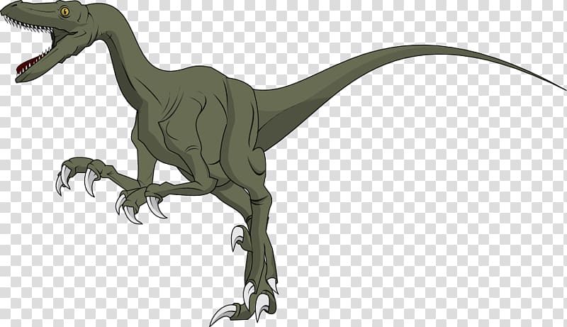 Velociraptor Theropods Dinosaur , dinosaur transparent background PNG clipart