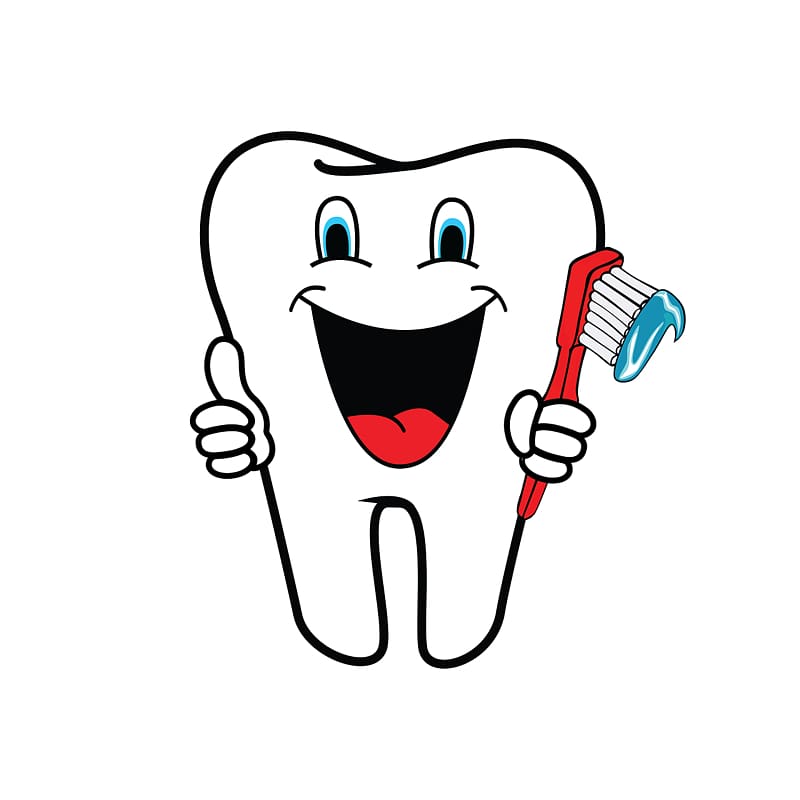 Human tooth Dentistry , toothbrash transparent background PNG clipart