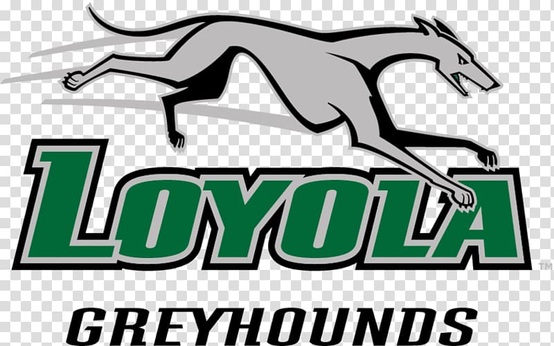 Loyola University Maryland Loyola Greyhounds men\'s basketball University of Maryland, College Park Loyola Greyhounds men\'s lacrosse, others transparent background PNG clipart