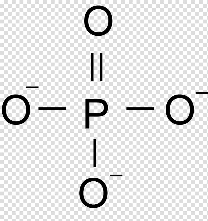 Grup fosfat Phosphate Nucleic acid Phosphoric acid Nitrogenous base, others transparent background PNG clipart