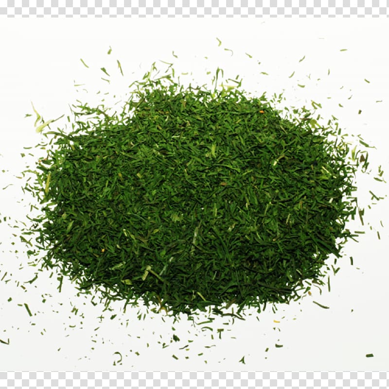 .xchng Desktop , dill seasoning transparent background PNG clipart