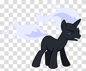 Cat Pony Horse , Cat transparent background PNG clipart thumbnail