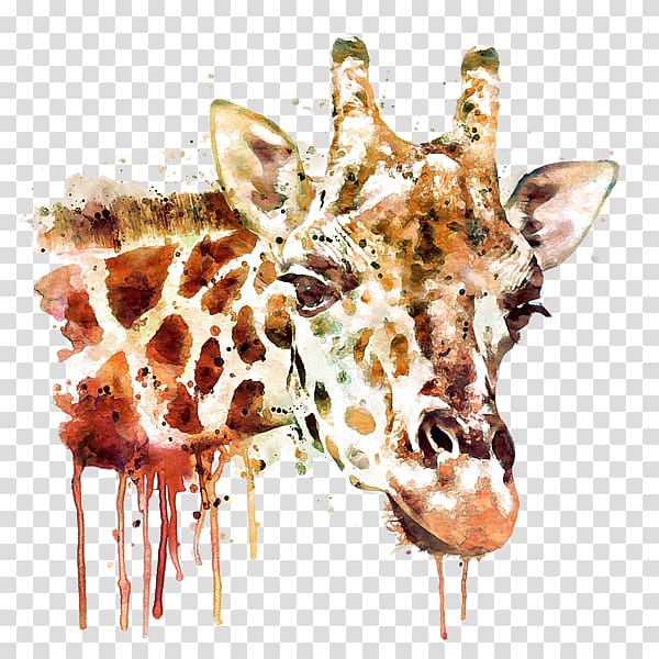 Giraffe Painting Canvas Art Drawing, giraffe head transparent background PNG clipart