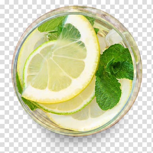 Lemon balm Lemon Beebalm Water ionizer Alkaline diet, verre transparent background PNG clipart