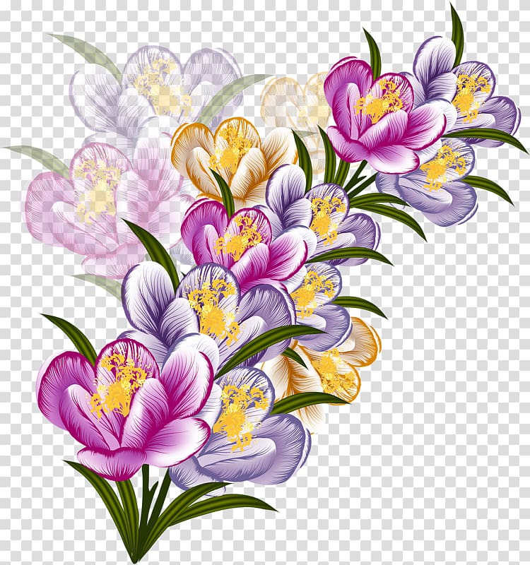 Flower Floral design , crocus transparent background PNG clipart