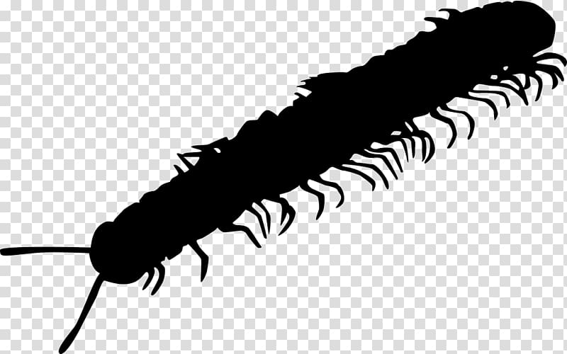 Millipedes Pest Caterpillar Cockroach Centipedes, caterpillar transparent background PNG clipart