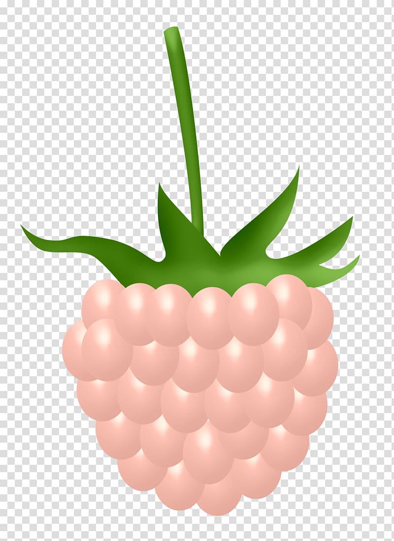 Frutti di bosco Red raspberry Icon, Raspberry transparent background PNG clipart
