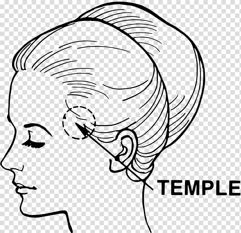Temple Head and neck anatomy Temporal bone Temporal lobe, temple transparent background PNG clipart