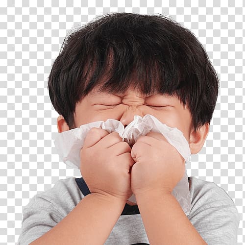 Nose Hay fever Child Sneeze Allergy, flu protection transparent background PNG clipart