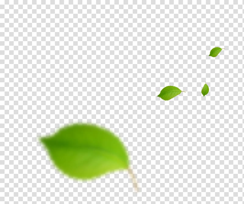 Green Leaf , Falling leaves transparent background PNG clipart