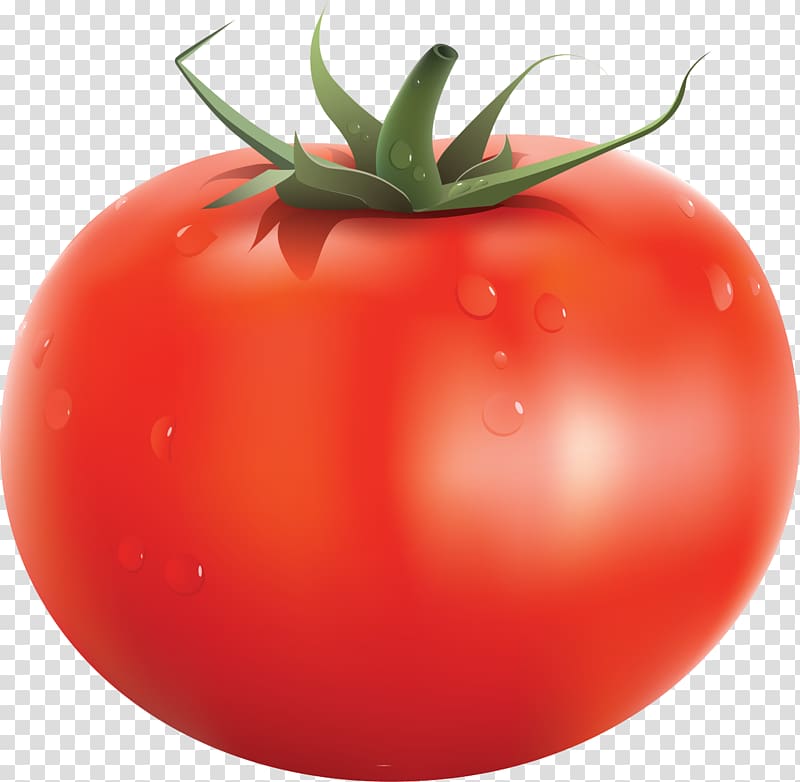 Cherry tomato Tomato soup , veg transparent background PNG clipart