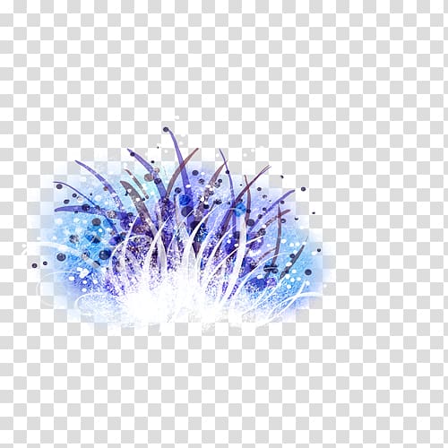 Light Landscape, Fireworks transparent background PNG clipart