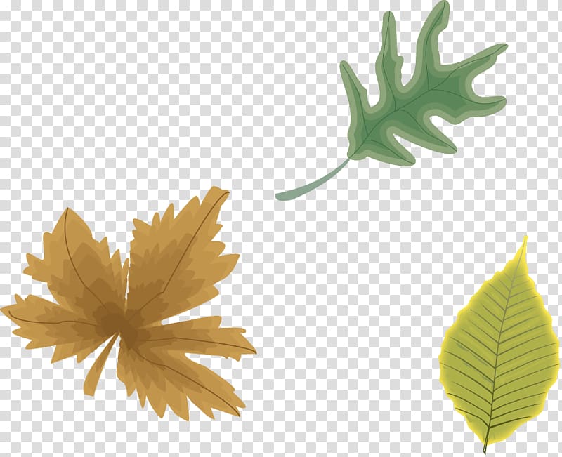 Depth of field Focus, Autumn leaves effect element transparent background PNG clipart