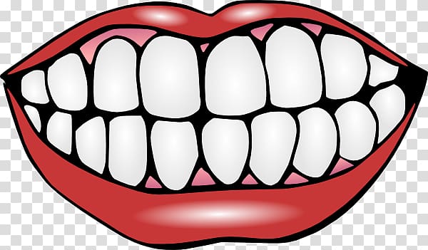 Mouth smile transparent background PNG clipart