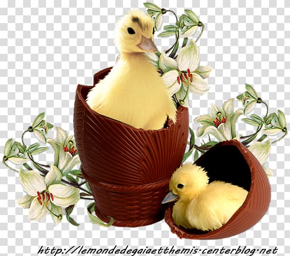 Duck Easter Bunny Easter egg Egg decorating, duck transparent background PNG clipart