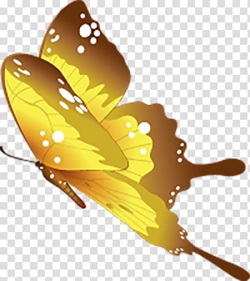 Butterfly Motif, Beautiful butterfly decoration fly transparent background PNG clipart