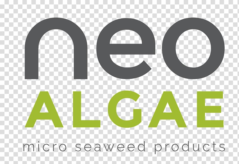 Neoalgae Jamie\'s Italian Den Haag Technology Empresa, jefe transparent background PNG clipart