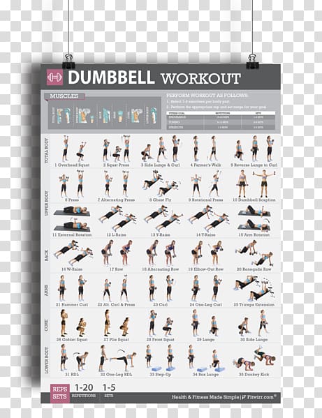 Dumbbell Bodyweight exercise Weight training Strength training, Male Lifting Dumbbells transparent background PNG clipart