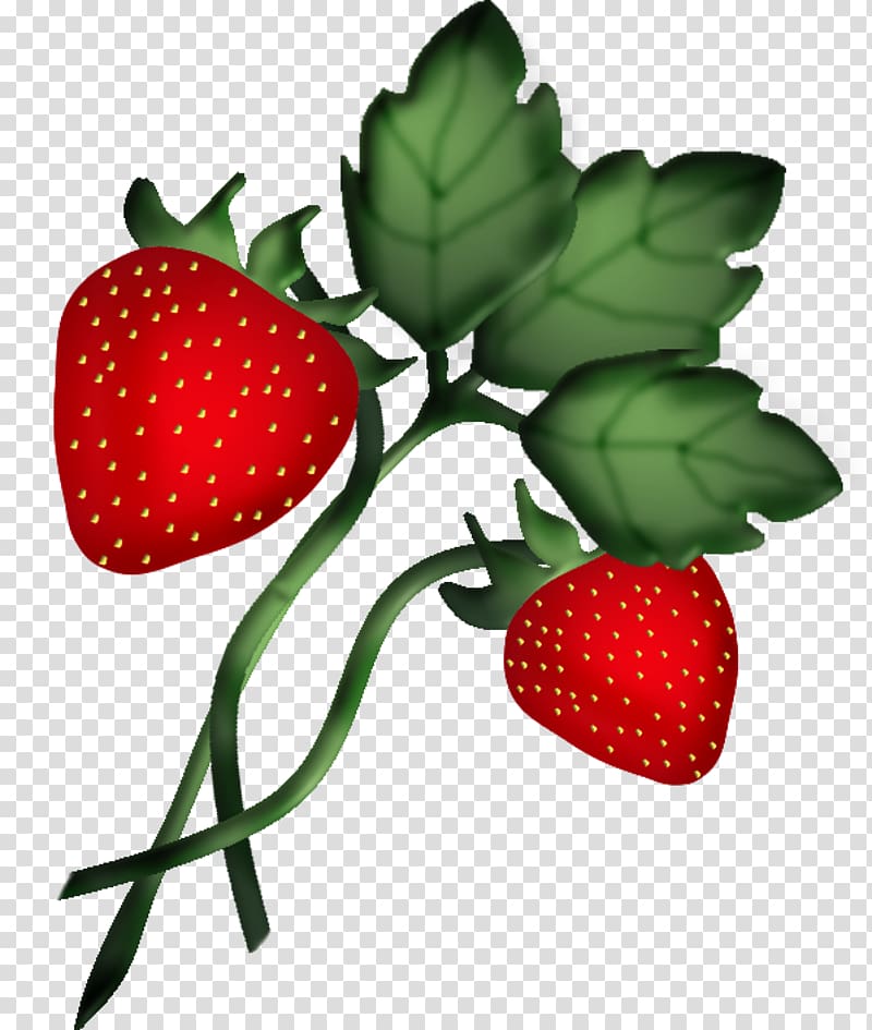 Strawberry Accessory fruit Amorodo Food, strawberry transparent background PNG clipart