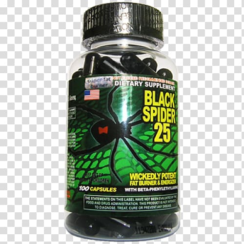 Spider Pharmaceutical drug Ephedra Dietary supplement Southern black widow, spider transparent background PNG clipart