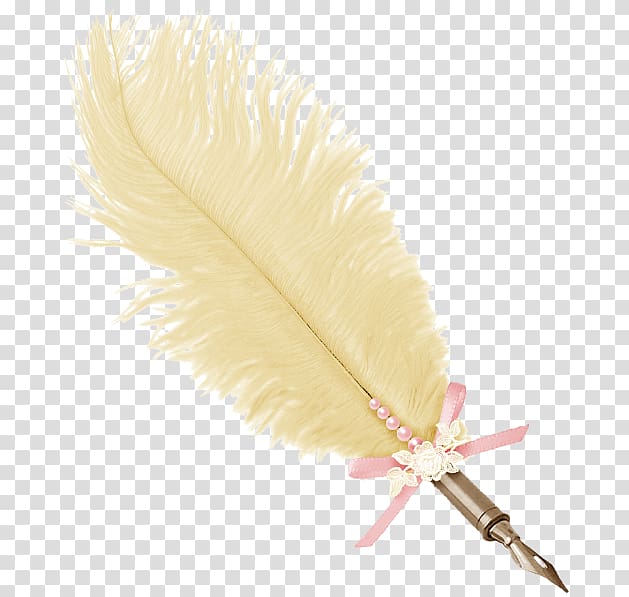 Quill Feather Reed pen Writing implement, peacock transparent background PNG clipart