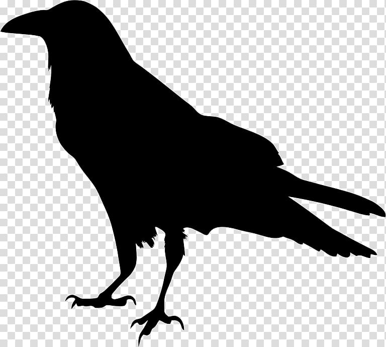 The Raven Silhouette Drawing , the raven transparent background PNG clipart